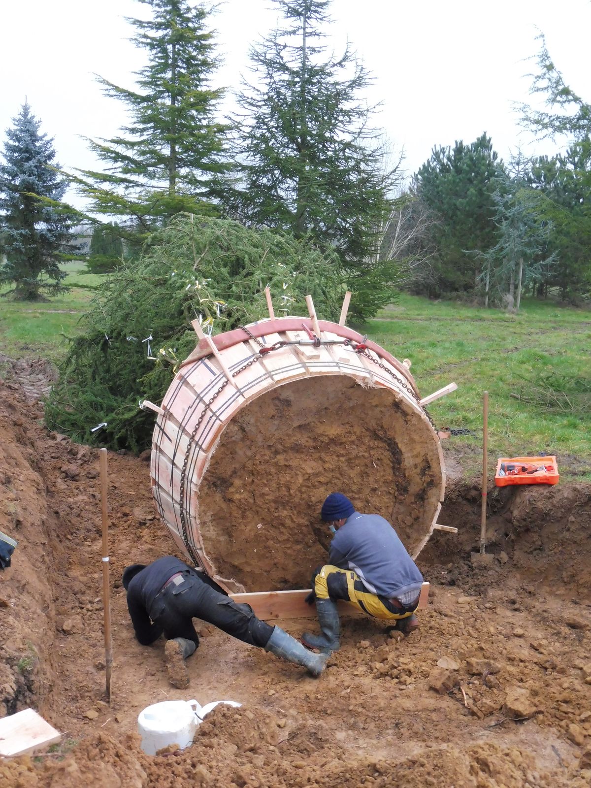 Chargement d'arbres aux Pépinères Thuilleaux