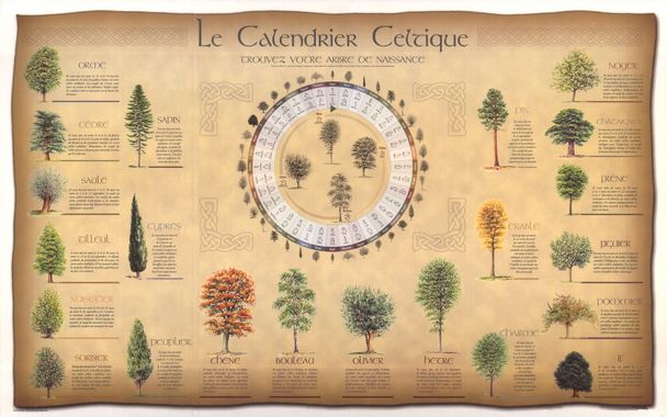 symbolique  calendrier celtique 1