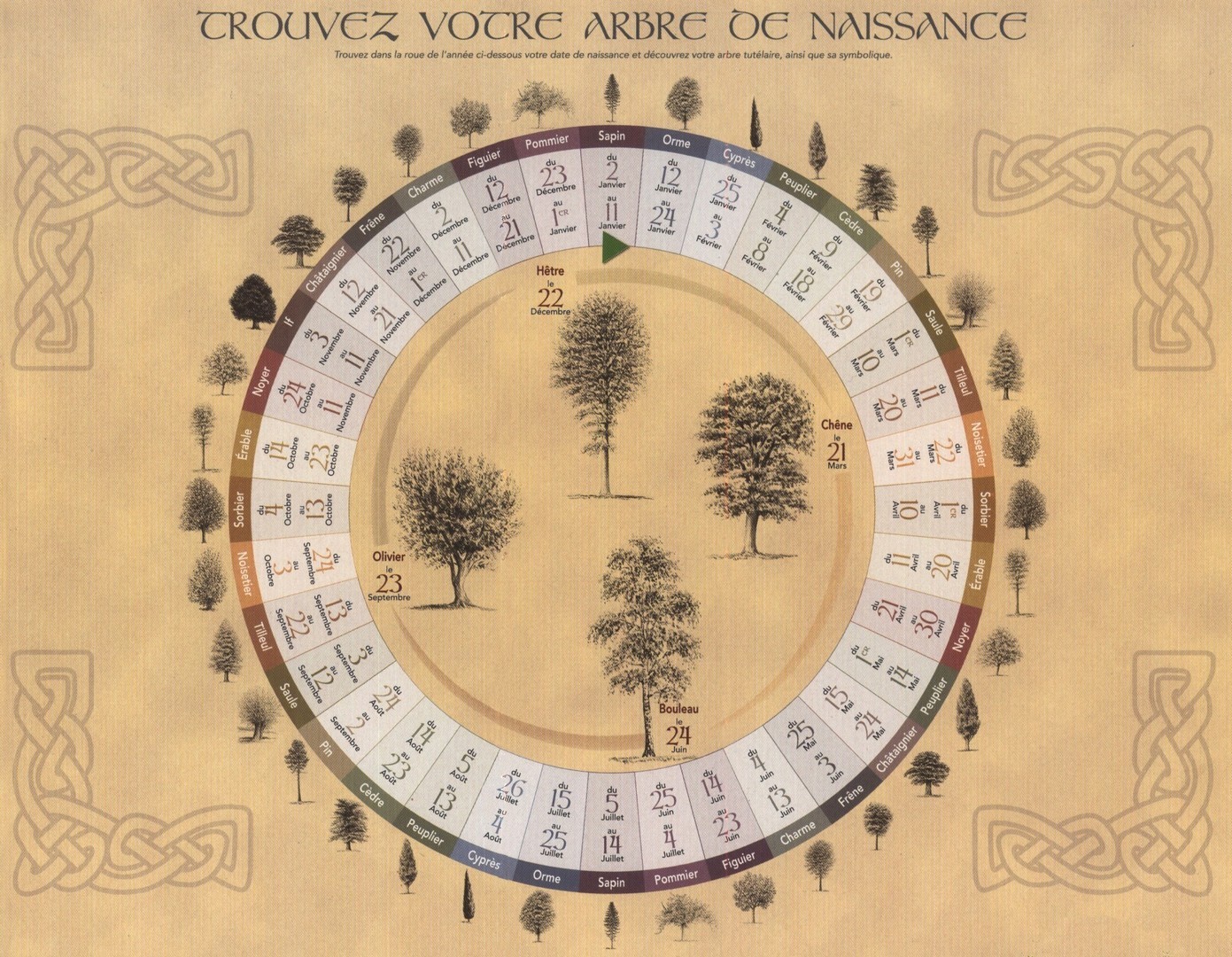 symbolique roue de l'année