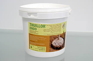 Thuilleaux - Thuillor ENDO