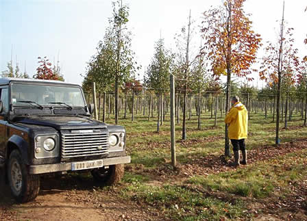 Producteur lauréat du Savoir faire Horticole Français