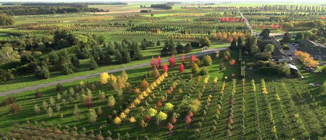 Vue aérienne des pépinères Thuilleaux