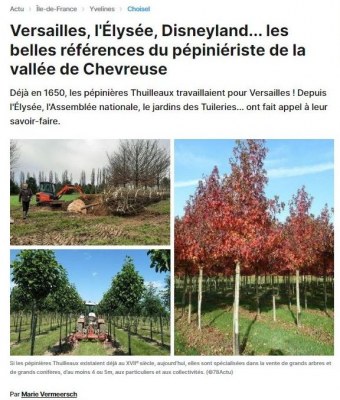 THUILLEAUX dans la presse 