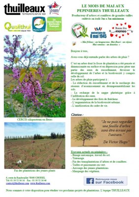 Lettre de Mai 2024