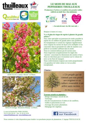 Lettre de Mai 2026