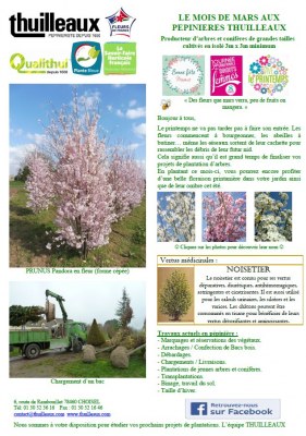 Lettre de Mars 2022