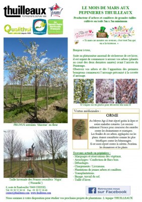 Lettre de Mars 2023