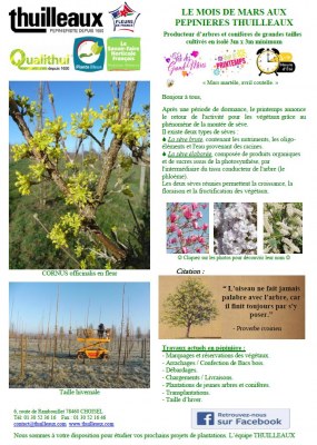 Lettre de Mars 2025