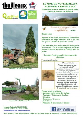Lettre de Novembre 2022