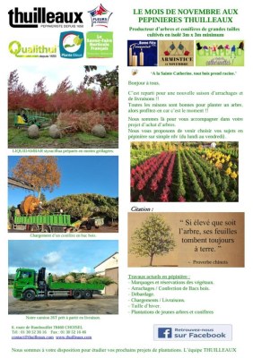 Lettre de Novembre 2025