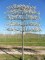 PYRUS calleryana 'Chanticleer'